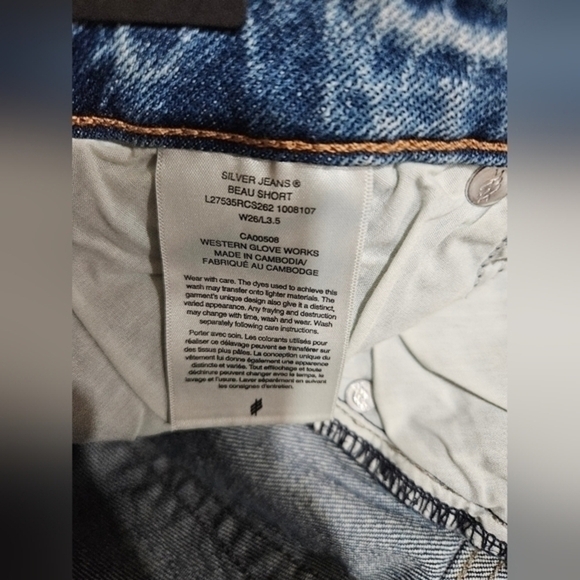 Silver Shorts - Picture 6 of 6